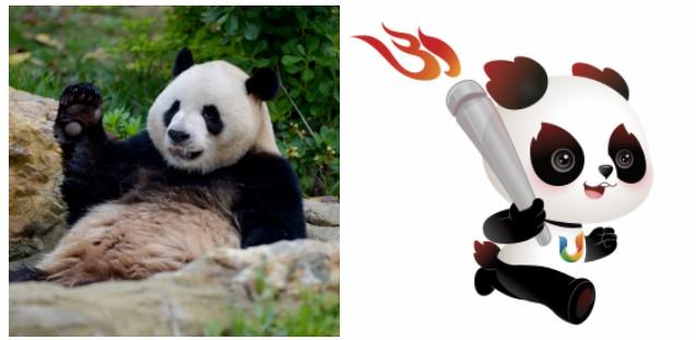 成都世界大学生夏季运动会进入倒计时30天，全球